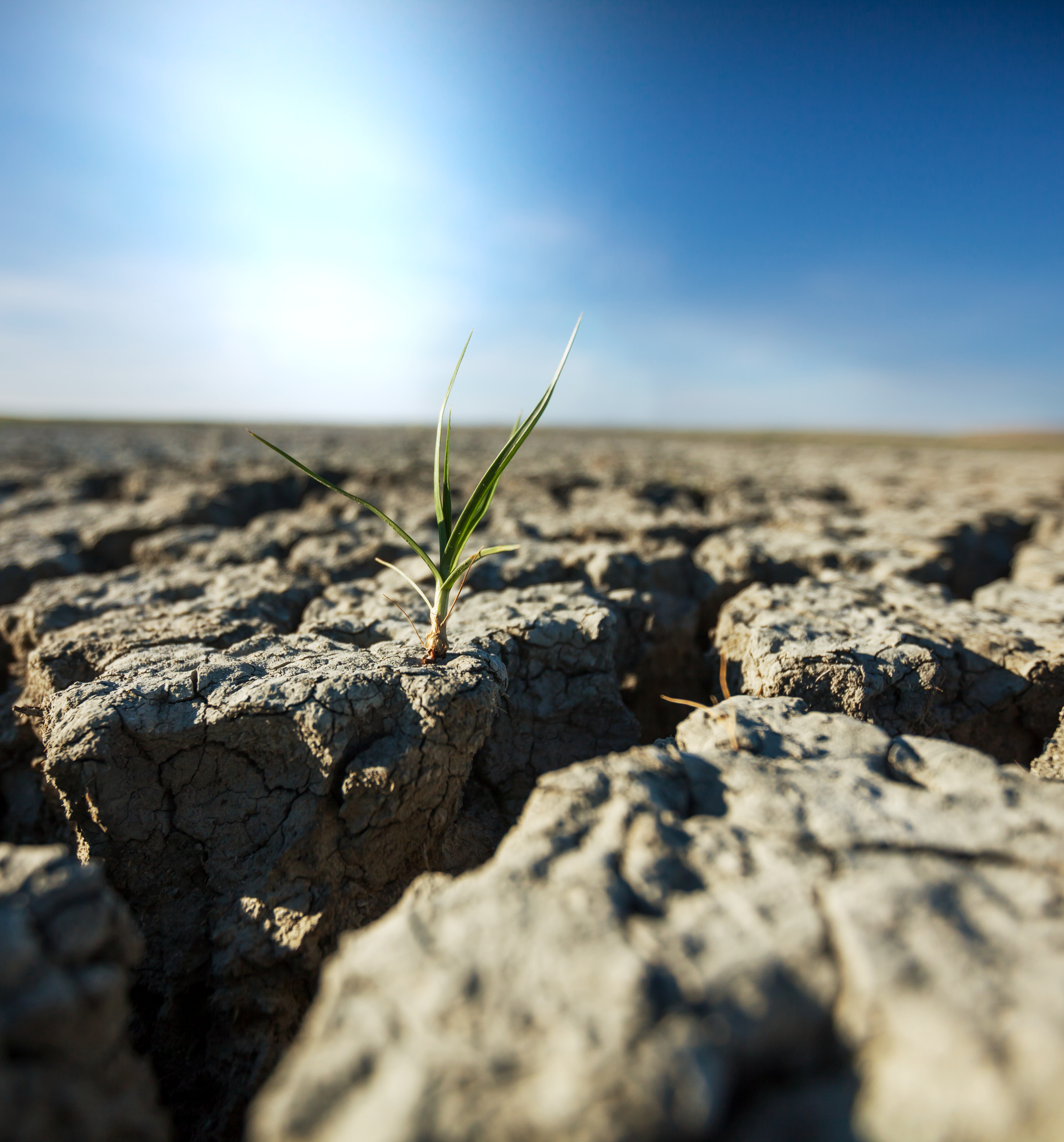 drought